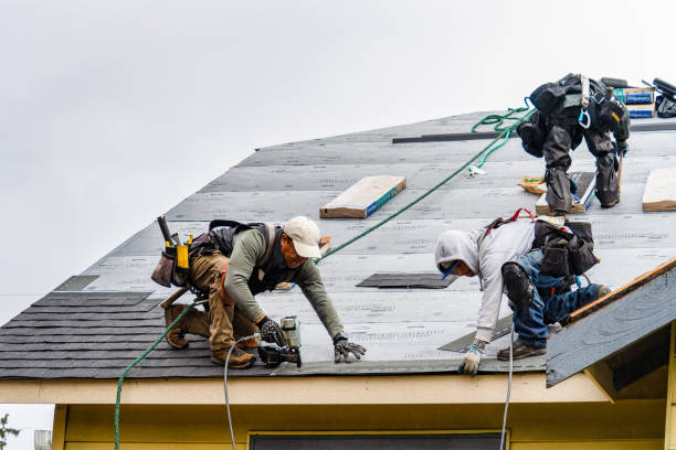 Professional Roofing technician working in Woodlake, CA